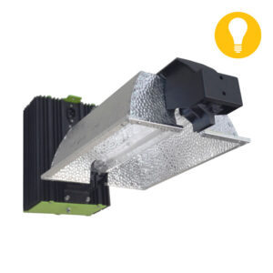 B.Lite 1000W De.Lite All-in-One