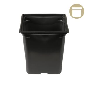 3.25'' x 3.25'' x 3.5'' 0.5qt Square Pot