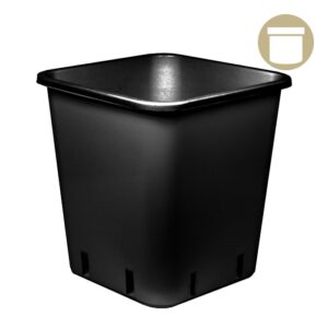 1 Gal Black Square Pot