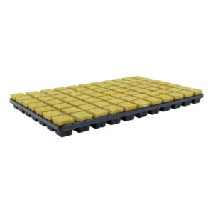 Cultilene 35 x 35 x 40mm Square 77 Cell Tray (Case of 18 trays)