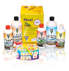 Hesi Starter Box Kit (Coco)