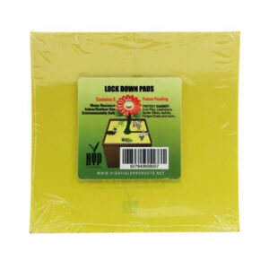 Lock Down Pads 1.5'' (15pcs) - SQUARE